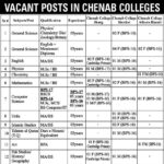 VACANT POSTS IN CHENAB COLLEGES Jobs 2024 NTS