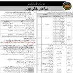 ASF Jobs 2024