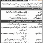 NLC Jobs 2024, National Logistics Cell