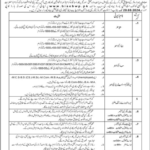 BISE Bahawalpur Jobs 2024