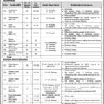 Press Information Department (PID) Jobs 2024