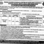 Punjab Daanish School Dera Ghazi Khan (Boys & Girls) Teaching Staff Required Jobs 2024