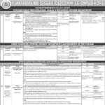 PPSC Job Advertisement No 24/2024