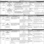 PPSC Jobs Advertisement No. 25/2024