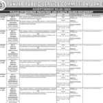 PPSC Job Advertisement No 26/2024